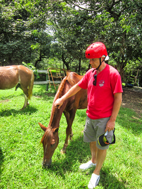 An image from Costa Rica horse back riding